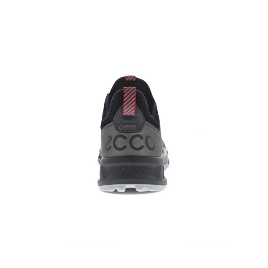 Ecco Mens Biom C4 